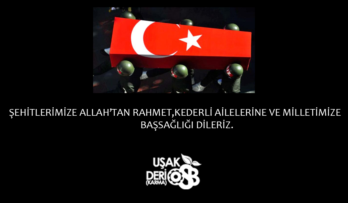 BAŞIMIZ SAĞOLSUN_images